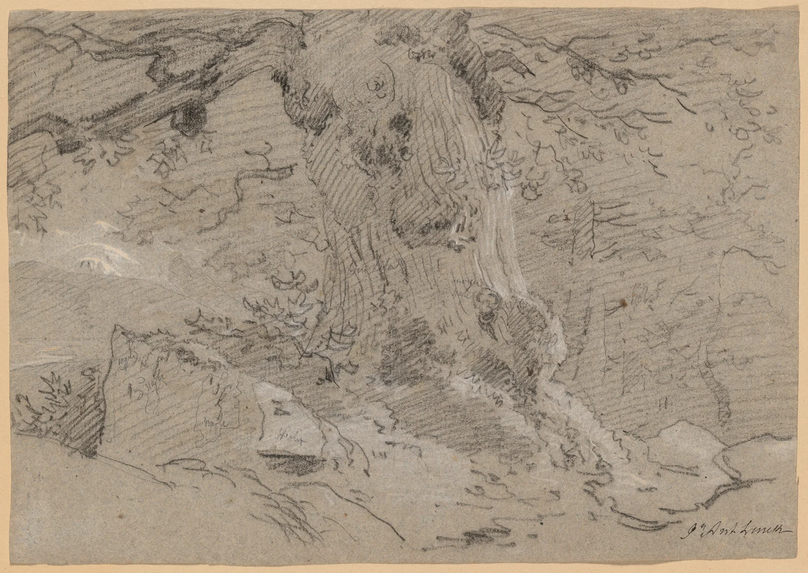 Study of Old Tree Trunk av Jean-Antoine Linck