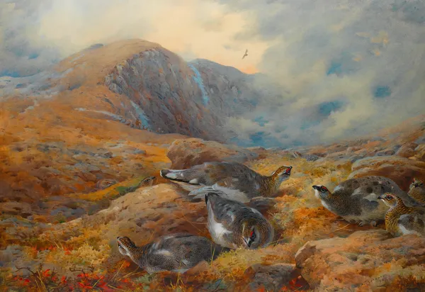 Danger Aloft – Ptarmigan av Archibald Thorburn