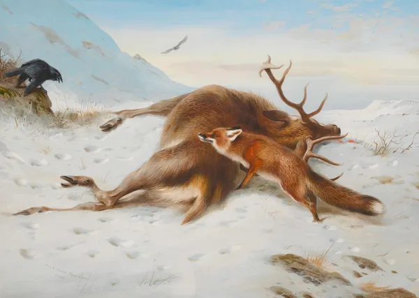 Not For The Larder av Archibald Thorburn