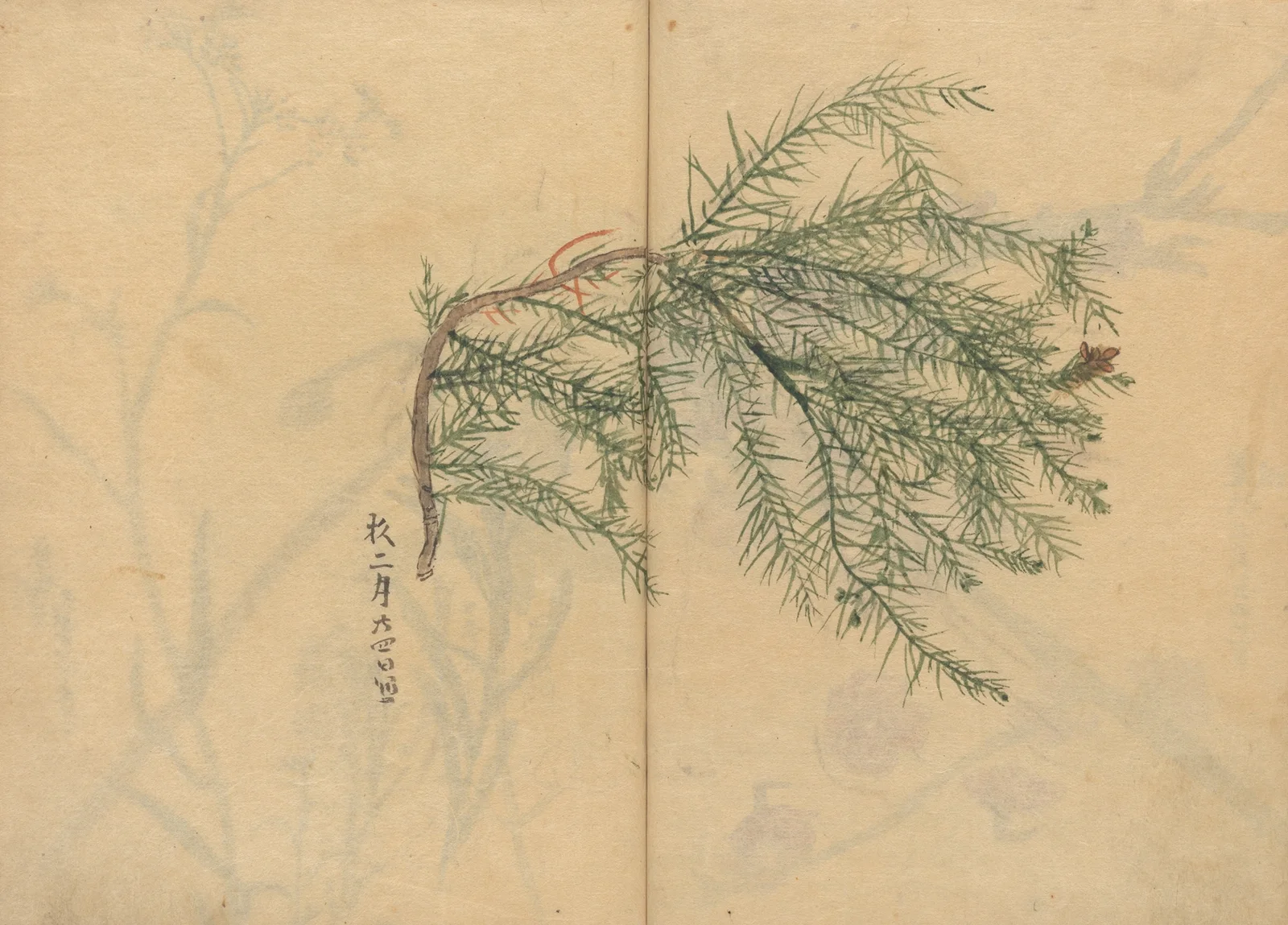 Sketchbook Pl.003 av Ariyoshi Kondo