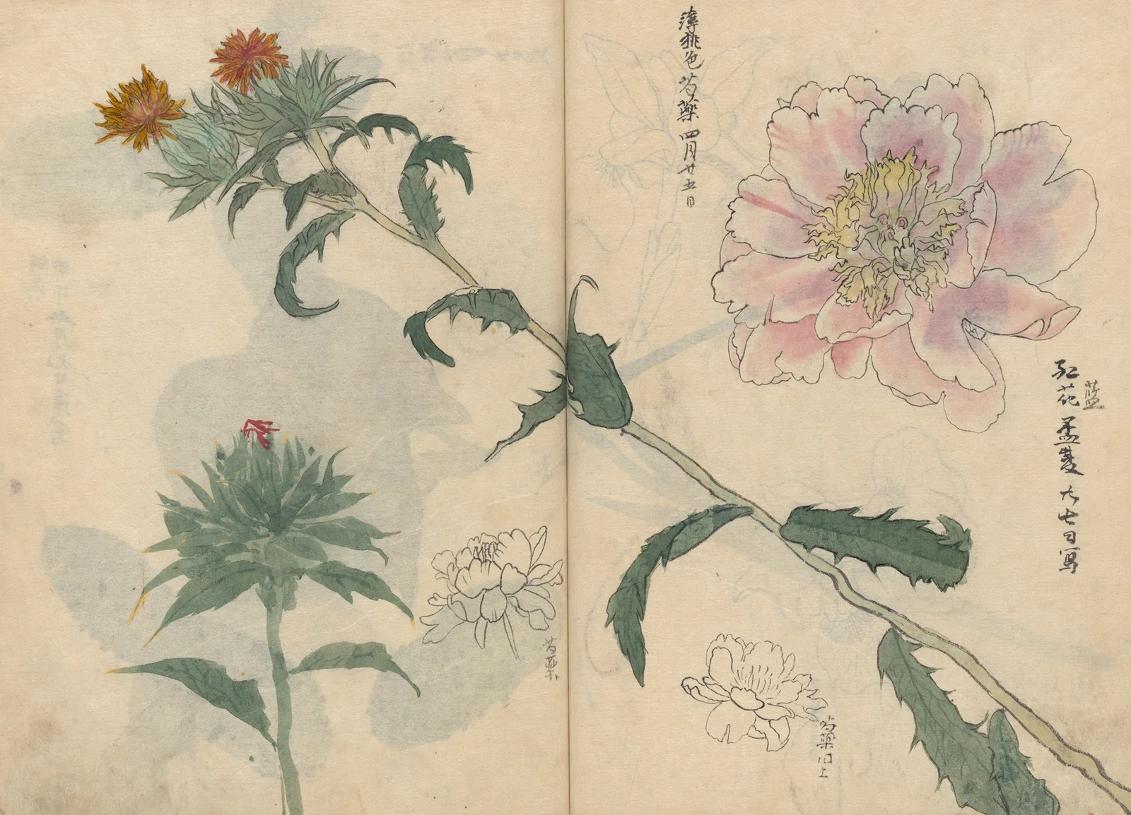 Sketchbook Pl.019 av Ariyoshi Kondo