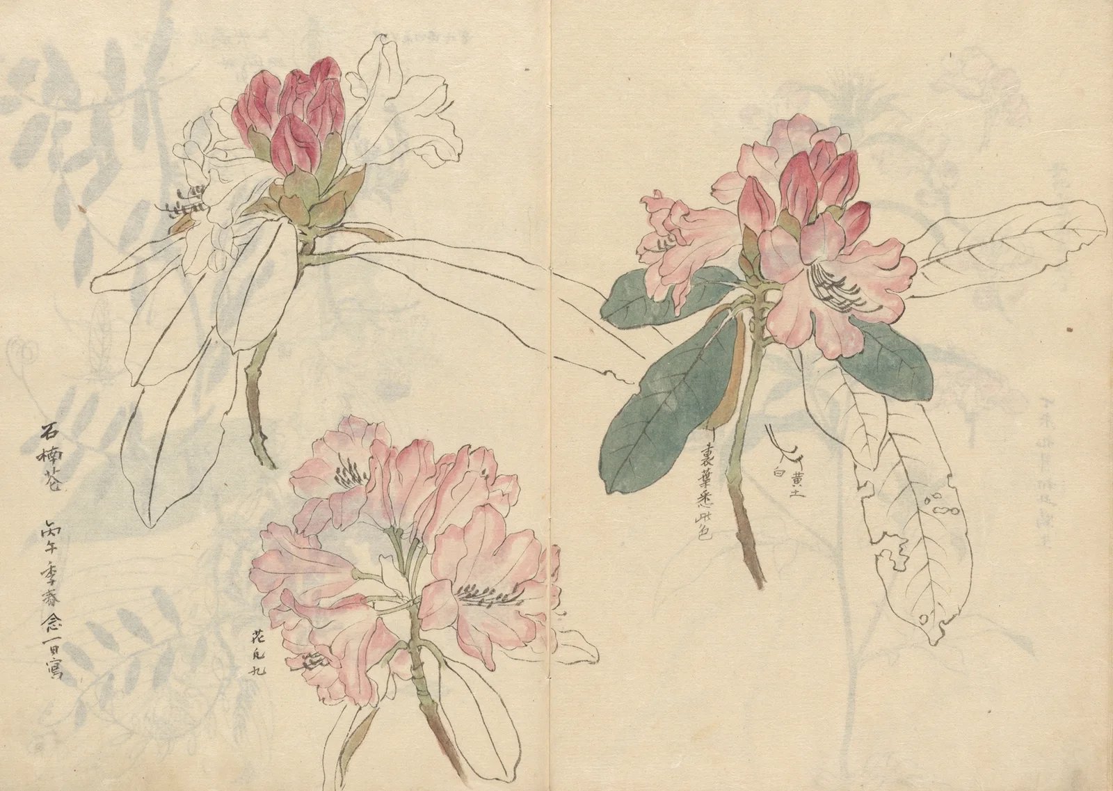 Sketchbook Pl.024 av Ariyoshi Kondo