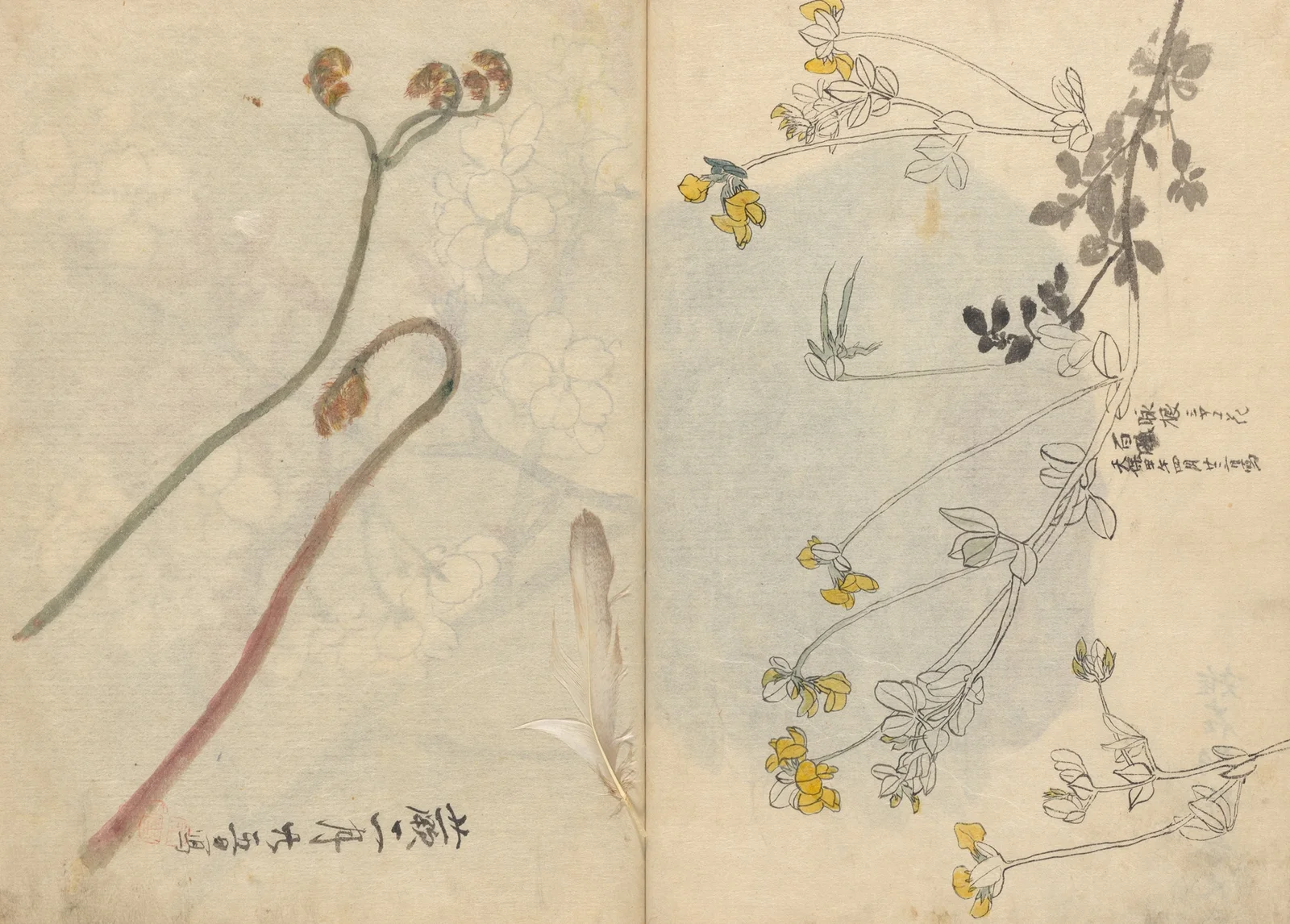 Sketchbook Pl.026 av Ariyoshi Kondo