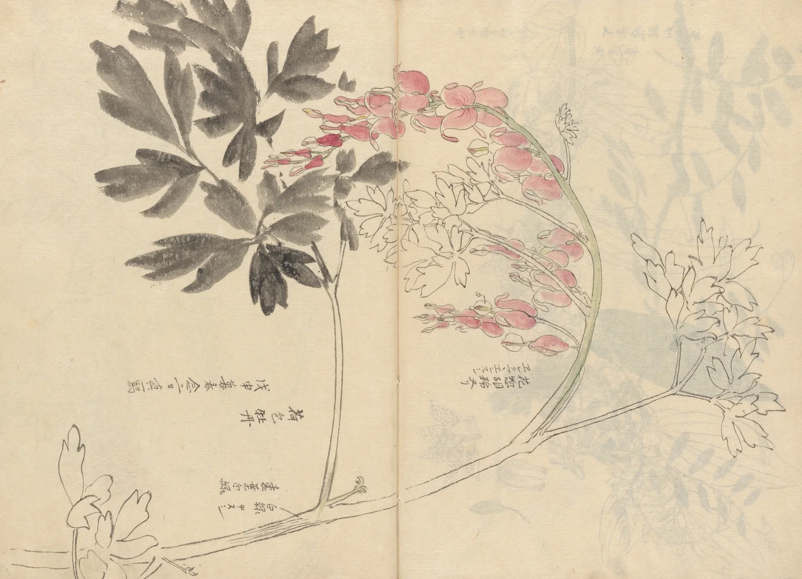 Sketchbook Pl.028 av Ariyoshi Kondo