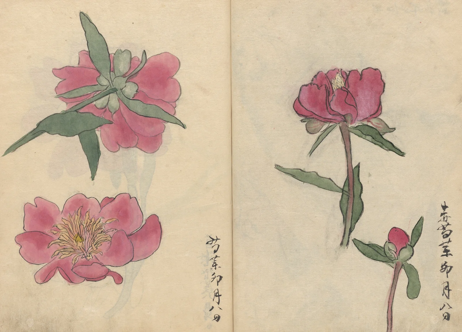 Sketchbook Pl.032 av Ariyoshi Kondo