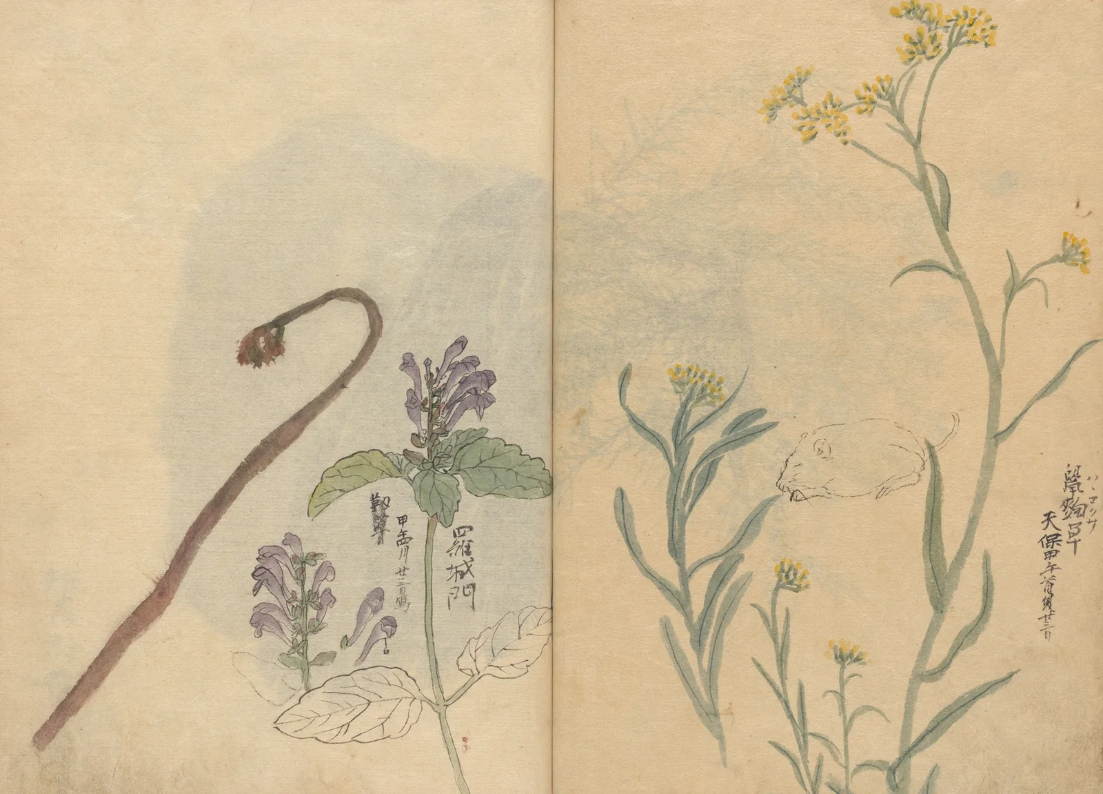 Sketchbook Pl.033 av Ariyoshi Kondo