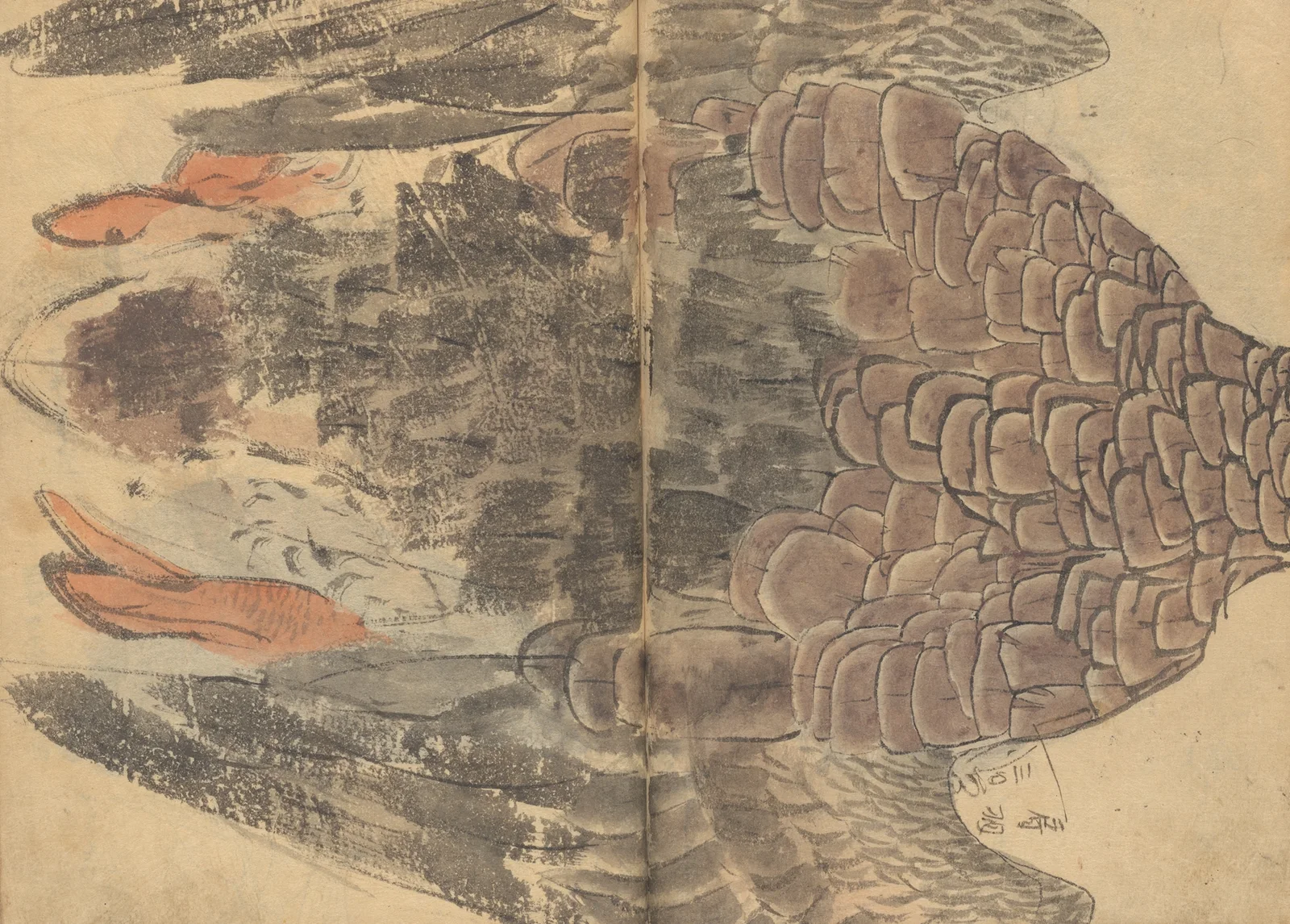 Sketchbook Pl.034 av Ariyoshi Kondo