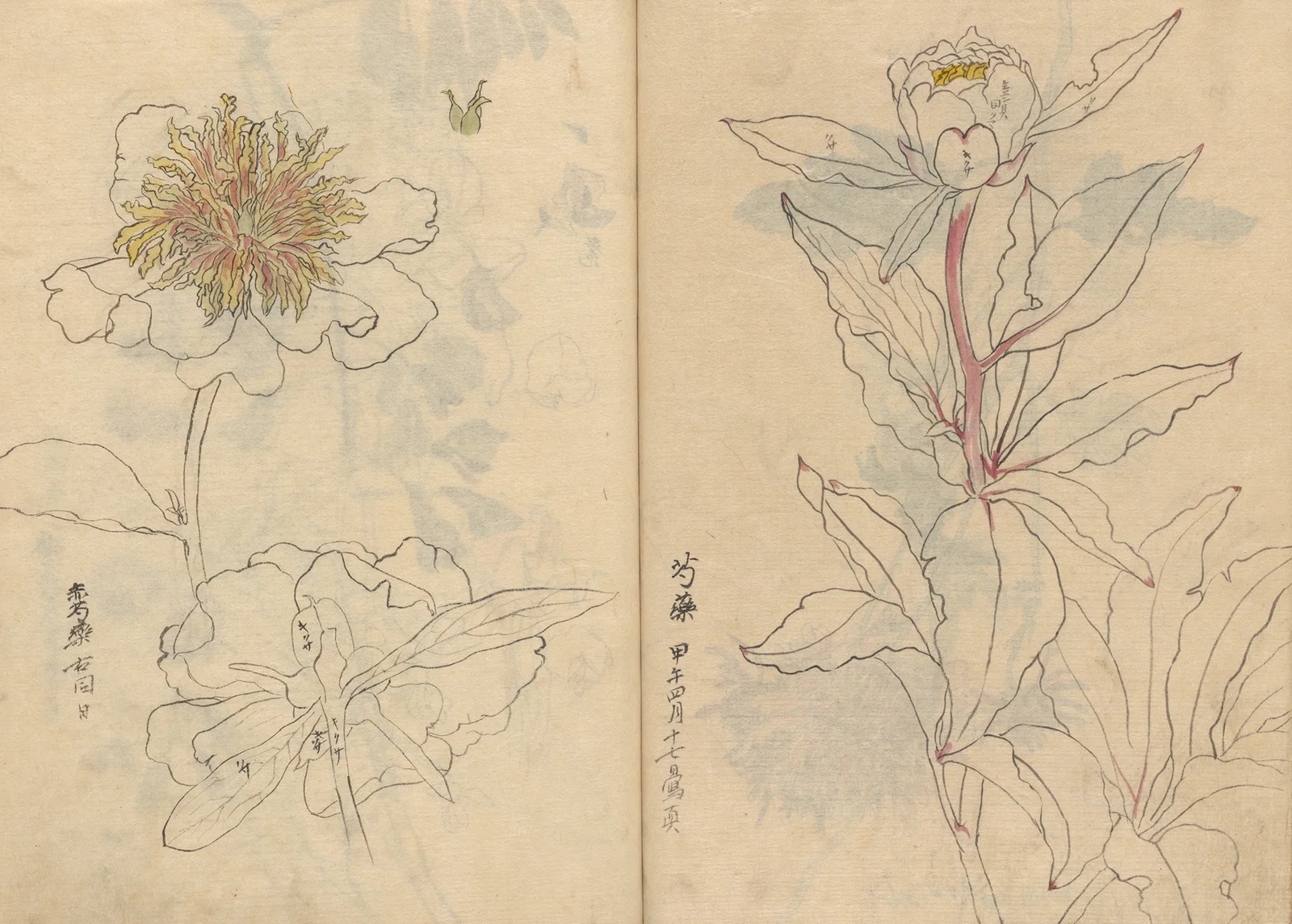 Sketchbook Pl.040 av Ariyoshi Kondo