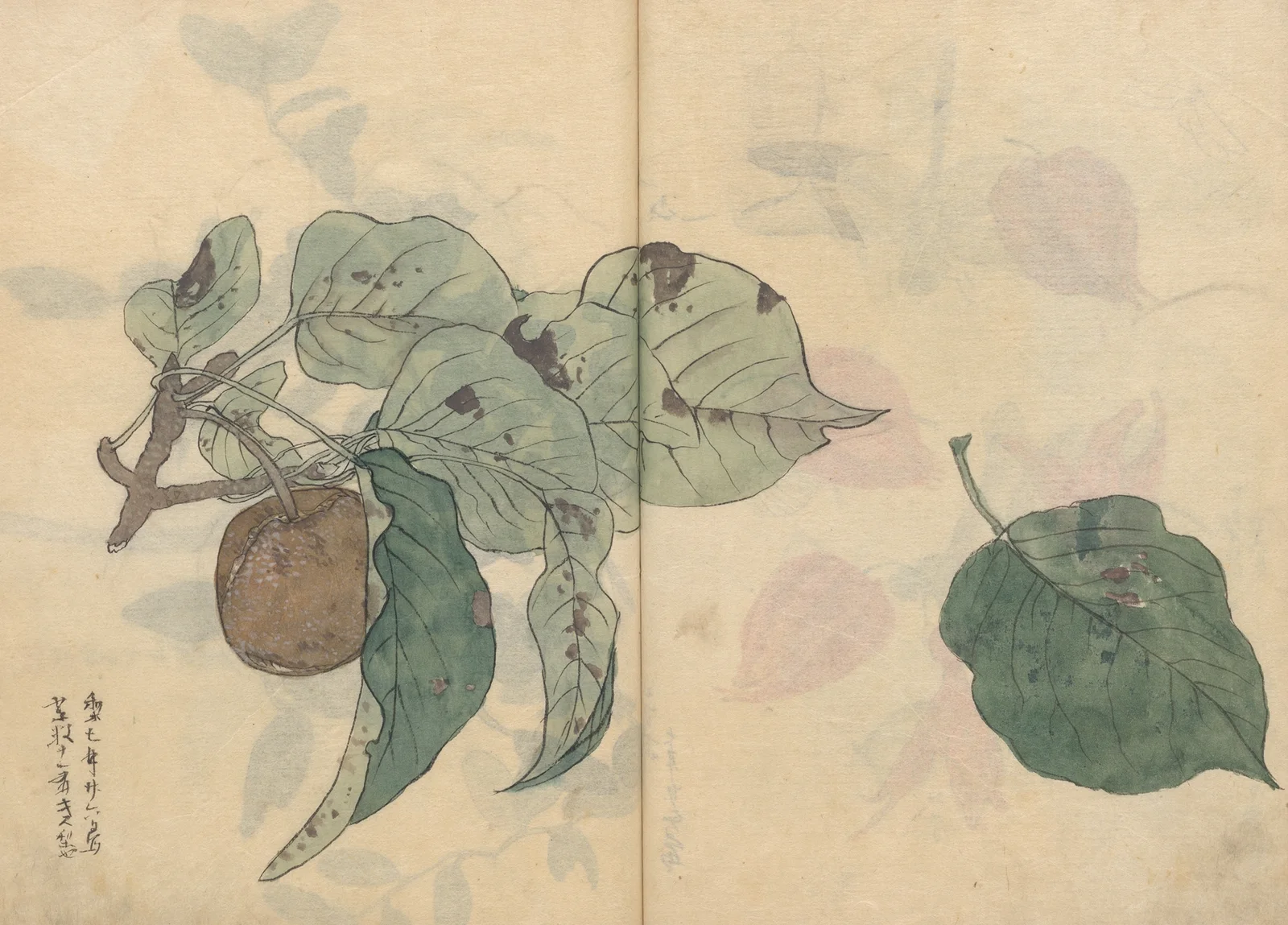 Sketchbook Pl.050 av Ariyoshi Kondo