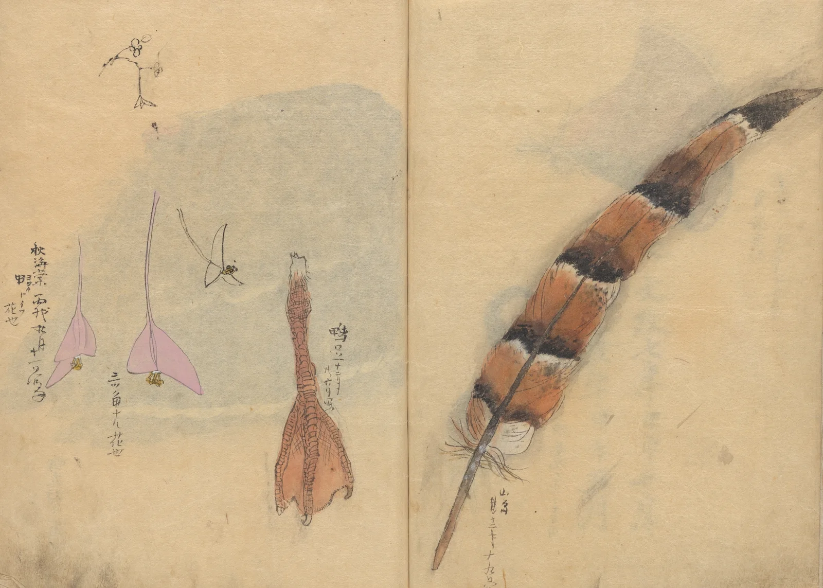 Sketchbook Pl.065 av Ariyoshi Kondo