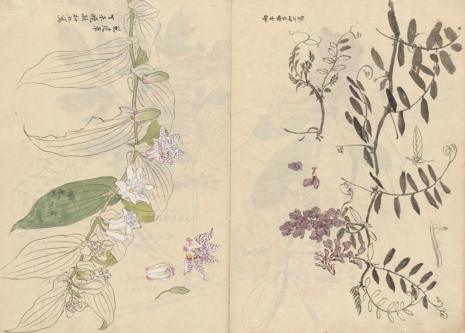 Sketchbook Pl.072 av Ariyoshi Kondo