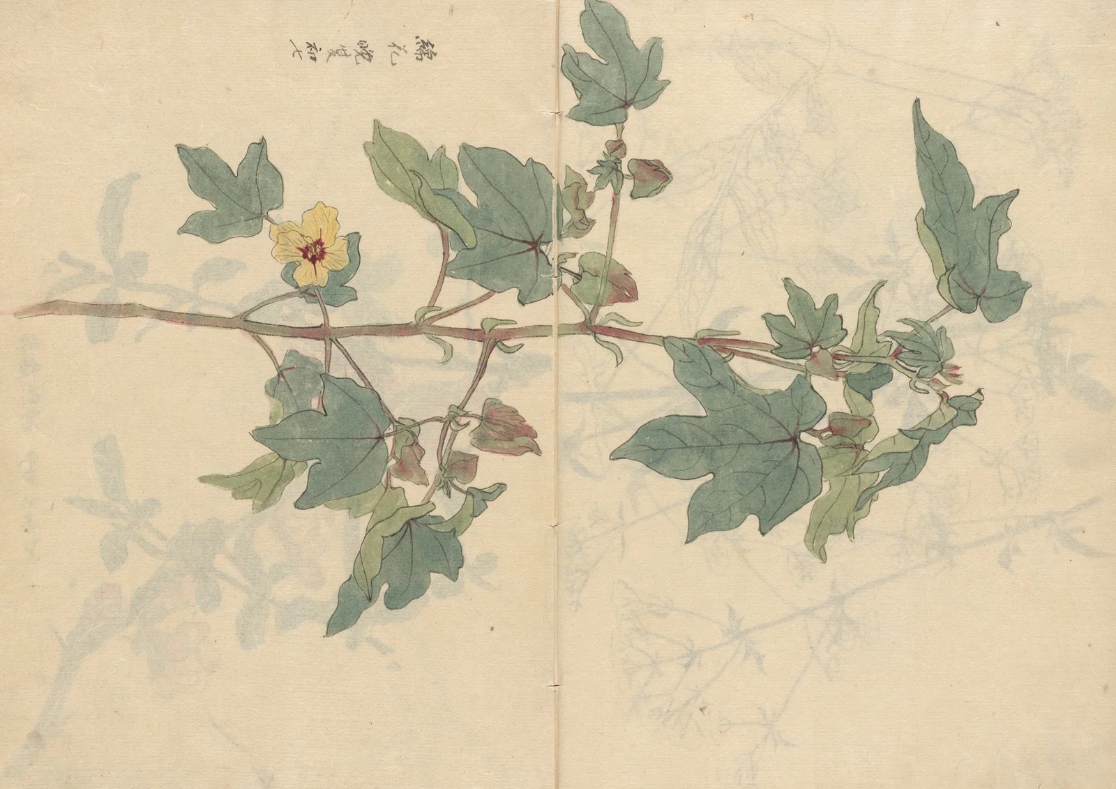 Sketchbook Pl.075 av Ariyoshi Kondo