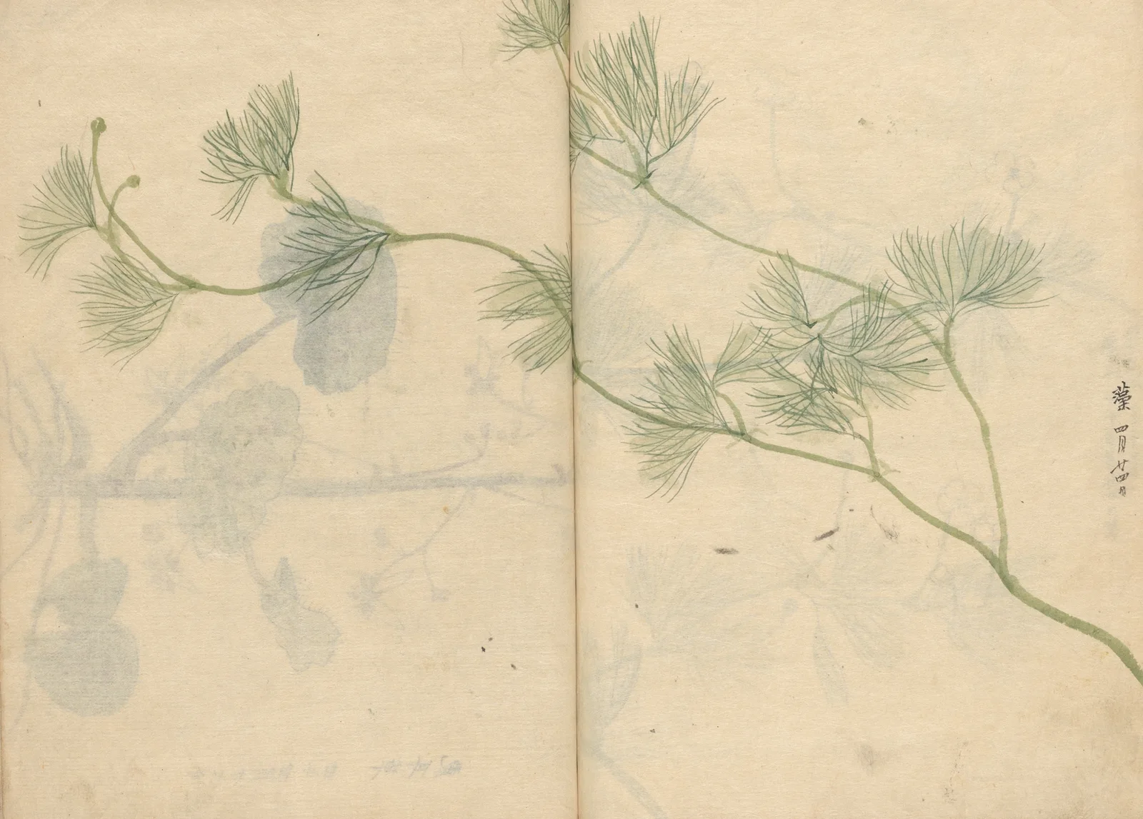 Sketchbook Pl.089 av Ariyoshi Kondo