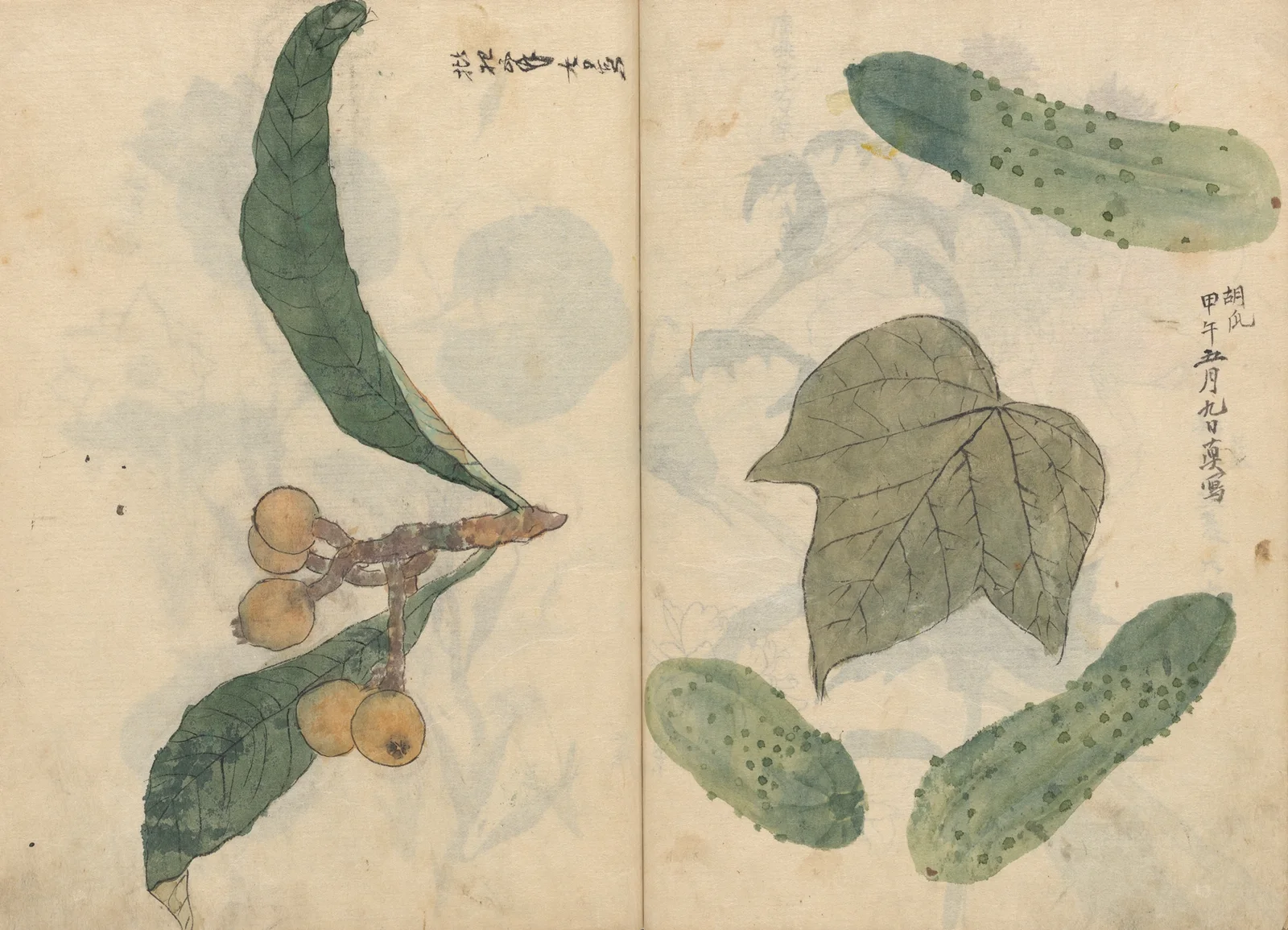 Sketchbook Pl.101 av Ariyoshi Kondo