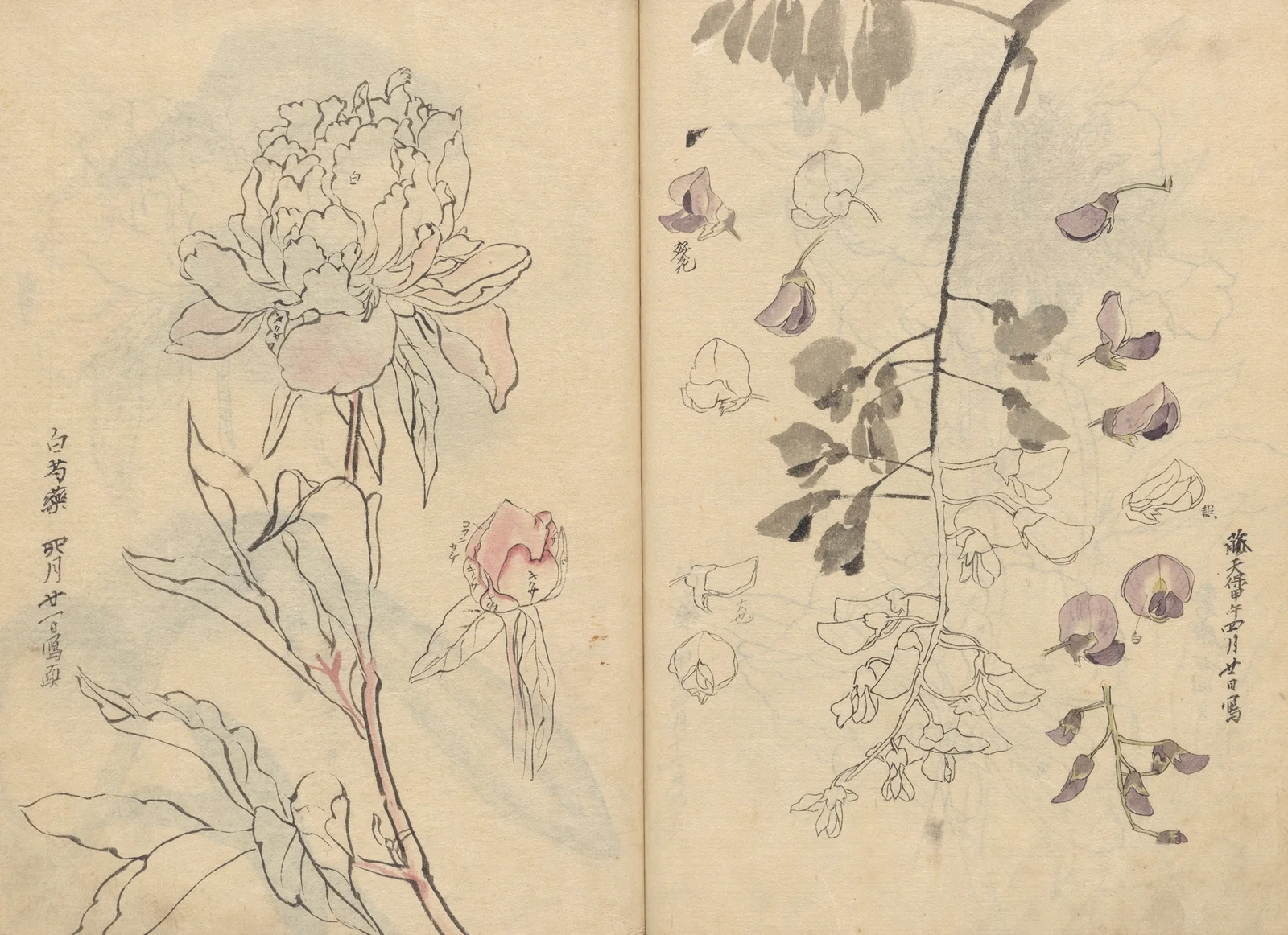 Sketchbook Pl.110 av Ariyoshi Kondo