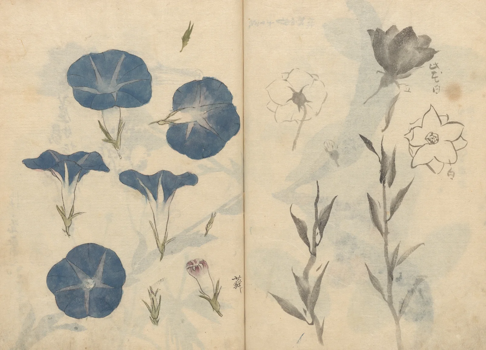 Sketchbook Pl.112 av Ariyoshi Kondo