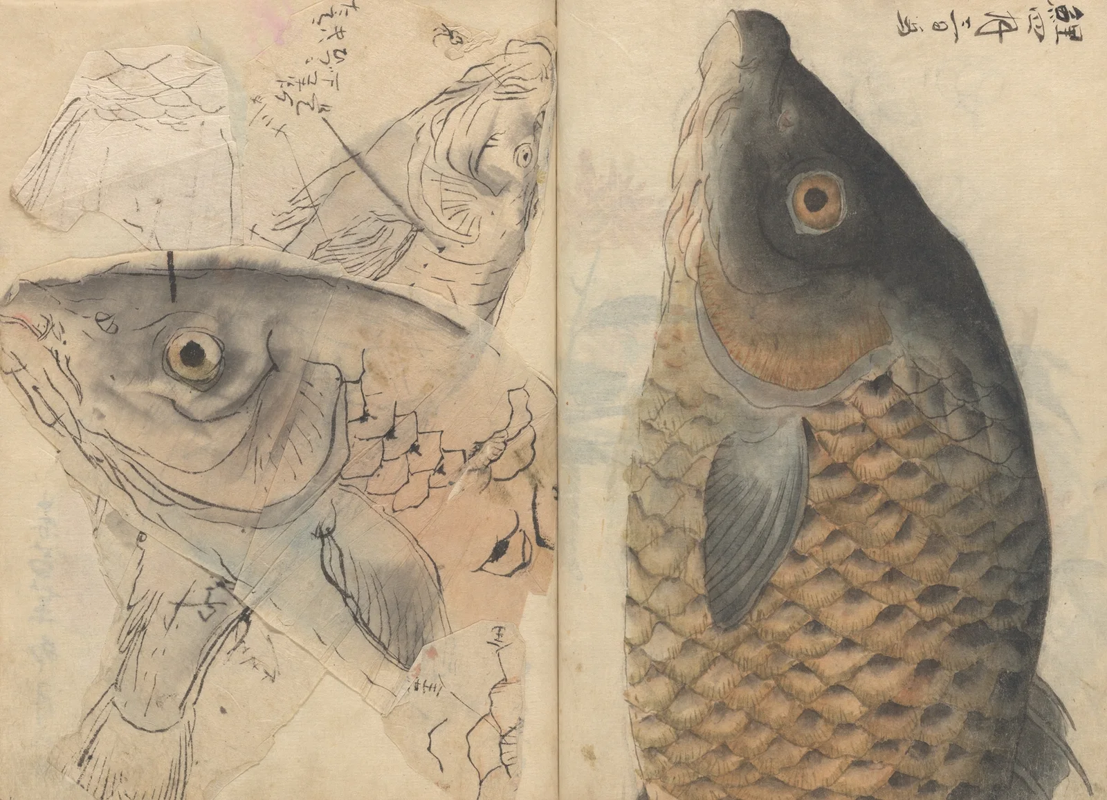 Sketchbook Pl.113 av Ariyoshi Kondo