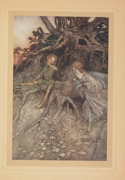 C’est moi que suis ce joyeux vagabond nocturne av Arthur Rackham