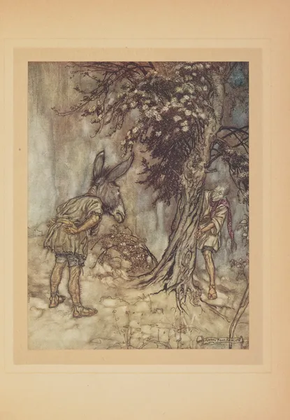 Oh! Bottom! comme tu es changé! av Arthur Rackham