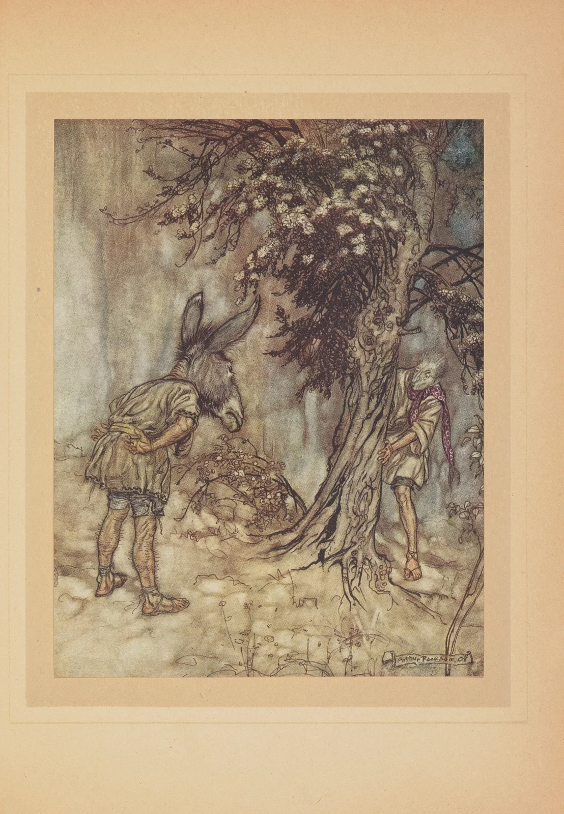 Oh! Bottom! comme tu es changé! av Arthur Rackham