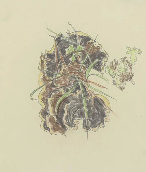 Study of plants av August Babberger
