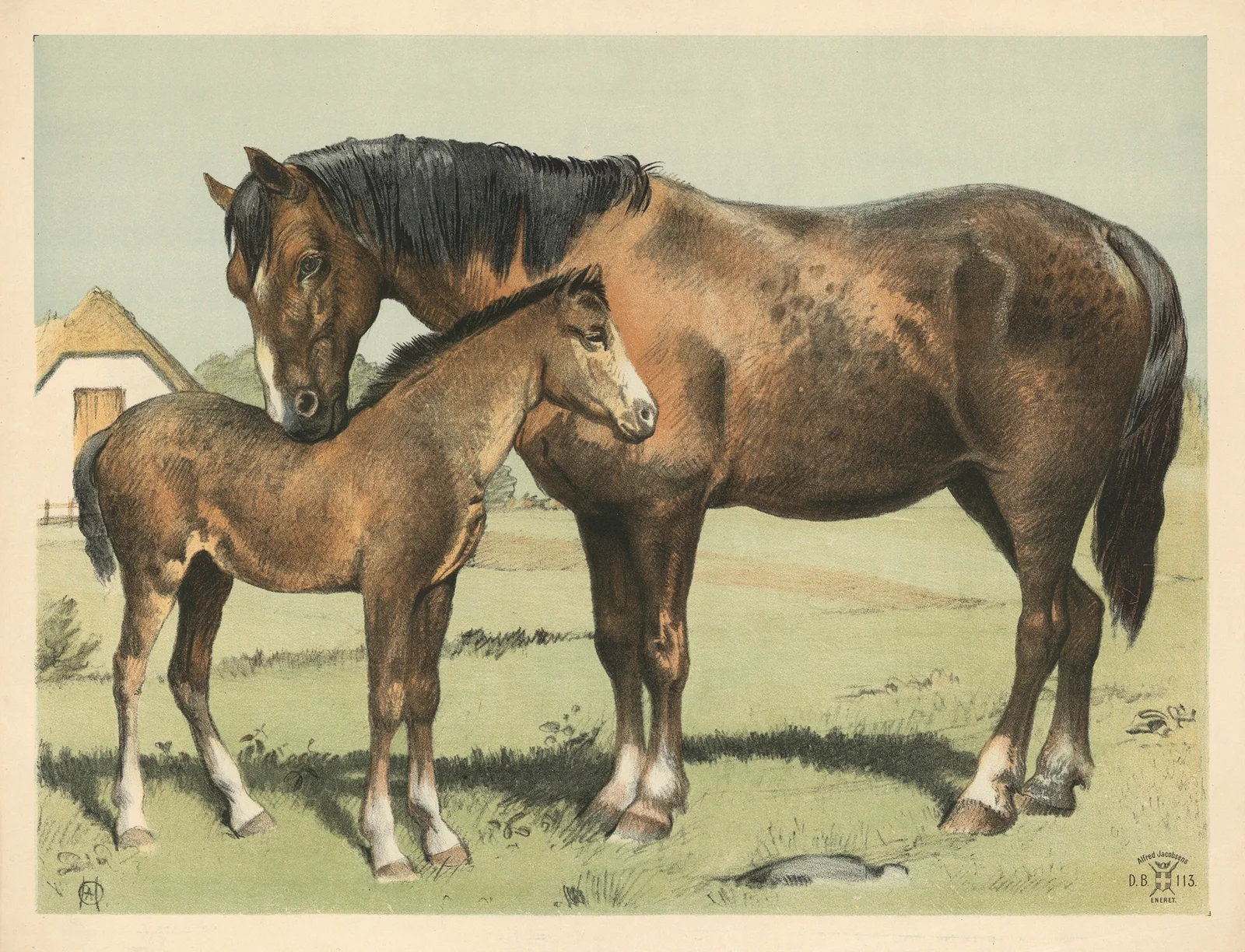 Hest av Oluf August Hermansen