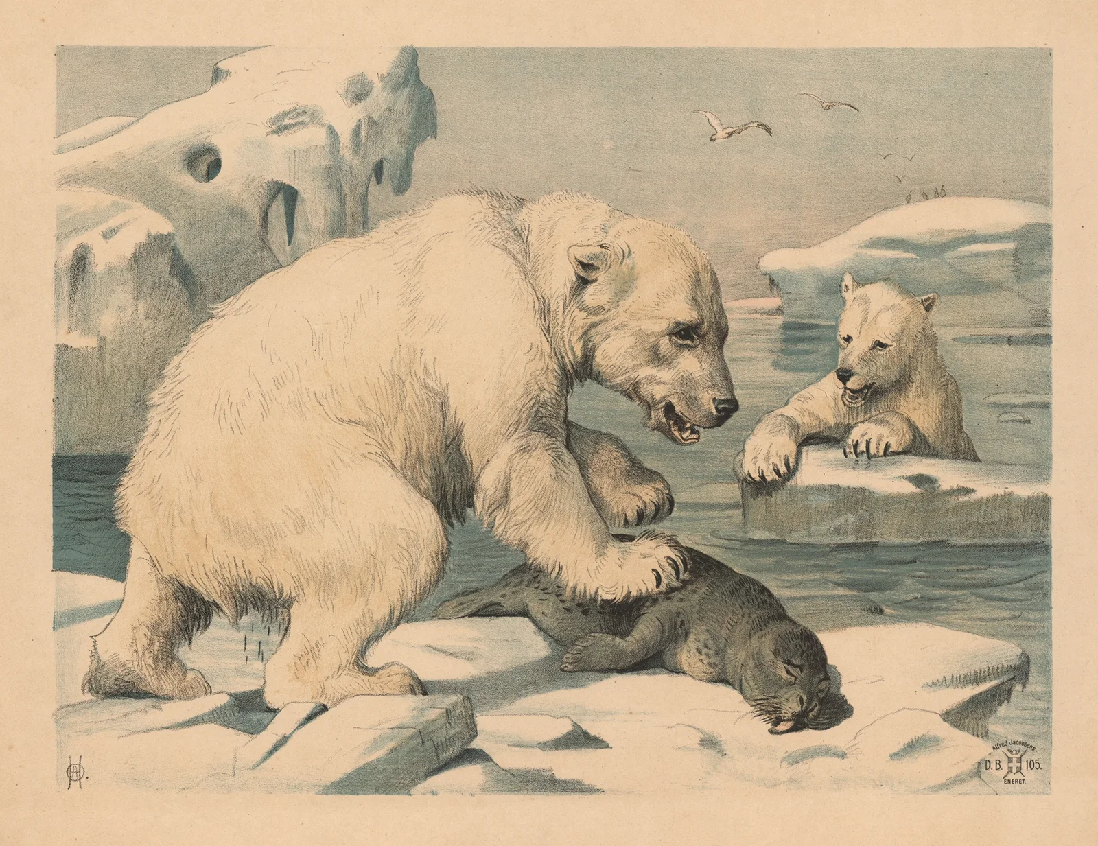 Isbjørne (Variant) (1892_1892) av Oluf August Hermansen