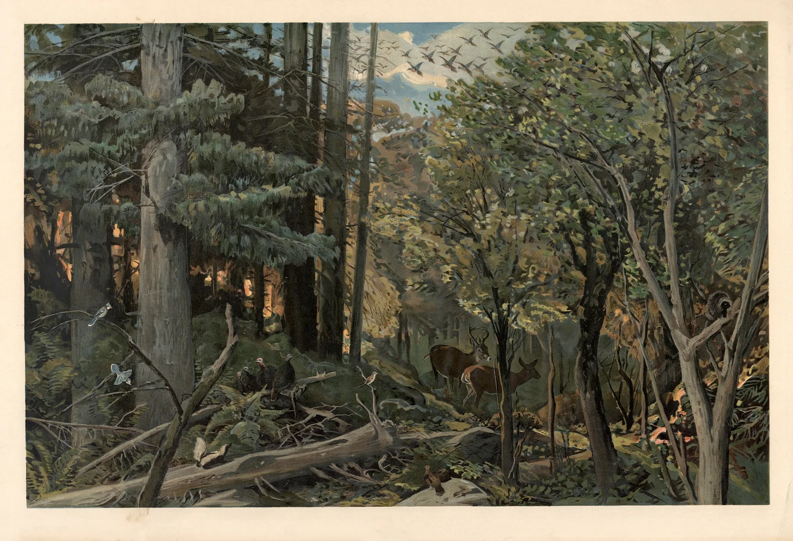 From the Allegheny Mountains av August Specht
