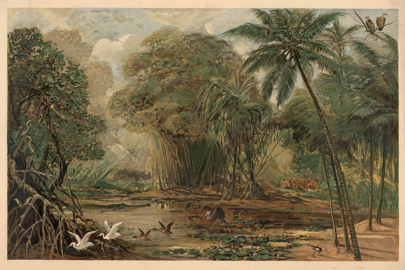 Ganges Delta av August Specht