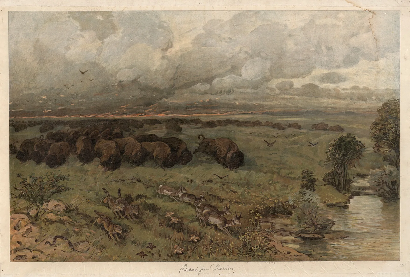 Prairie fire av August Specht