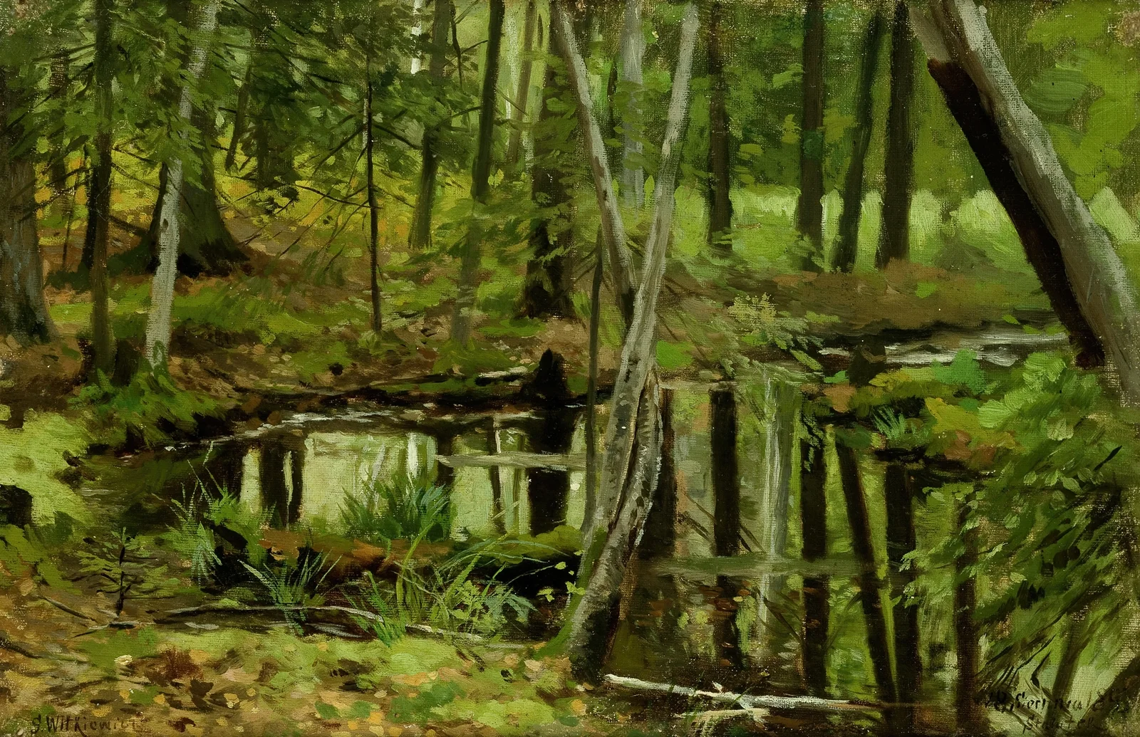 Forest Wilderness av Stanisław Witkiewicz