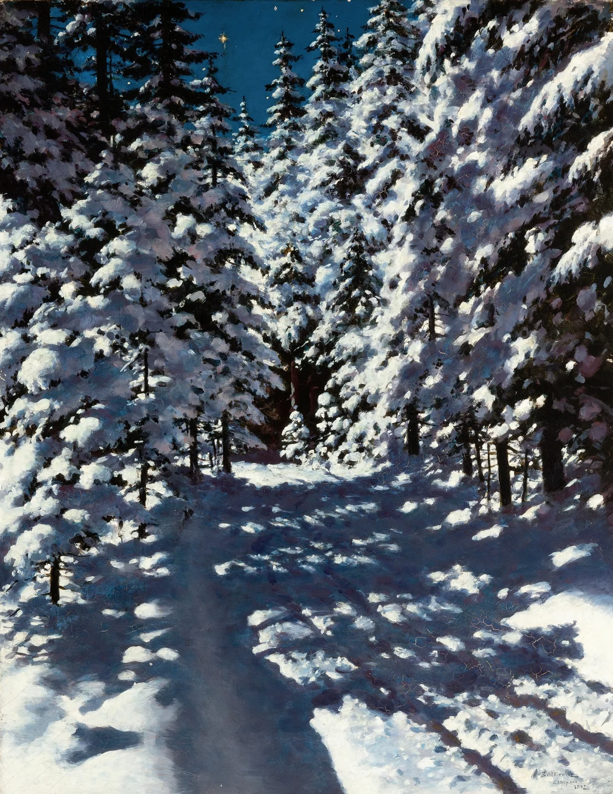Forest av Stanisław Witkiewicz