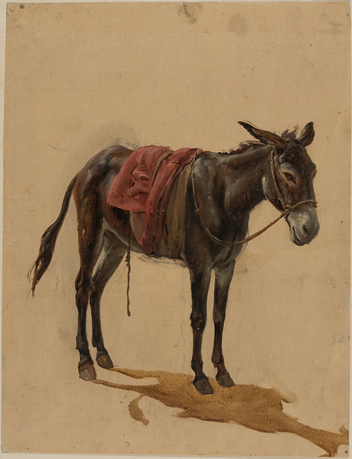 Esel av Johann Baptist Kirner