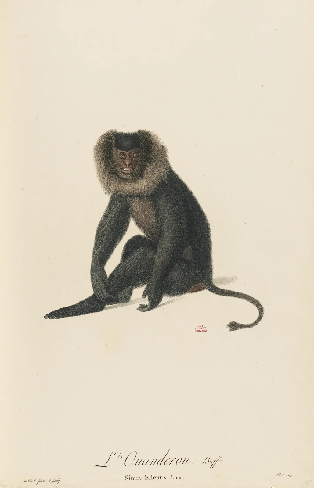 L’Ouanderou av Jean-Baptiste Audebert