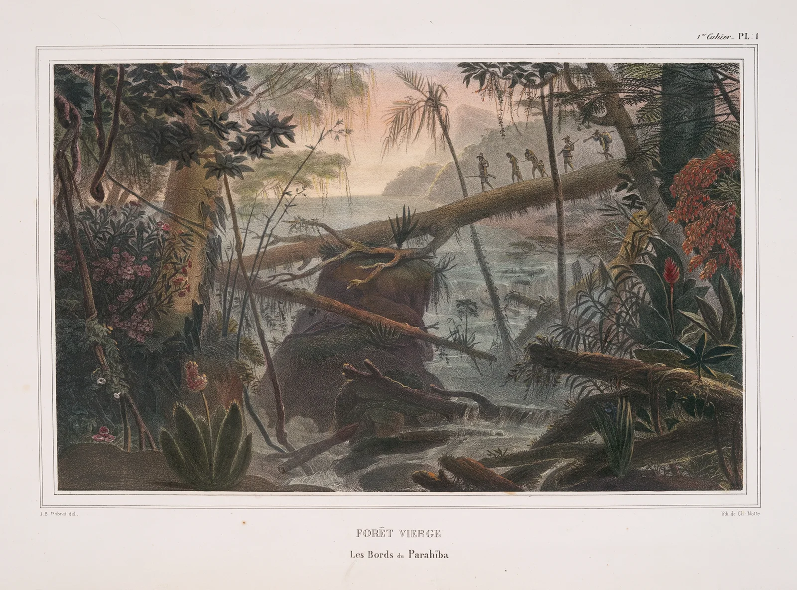 Forêt vierge av Jean Baptiste Debret