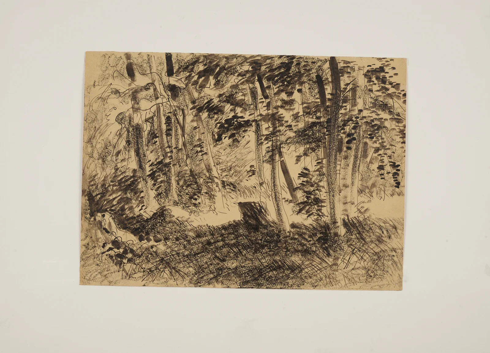 Fragment lasu av Edmund Bartłomiejczyk