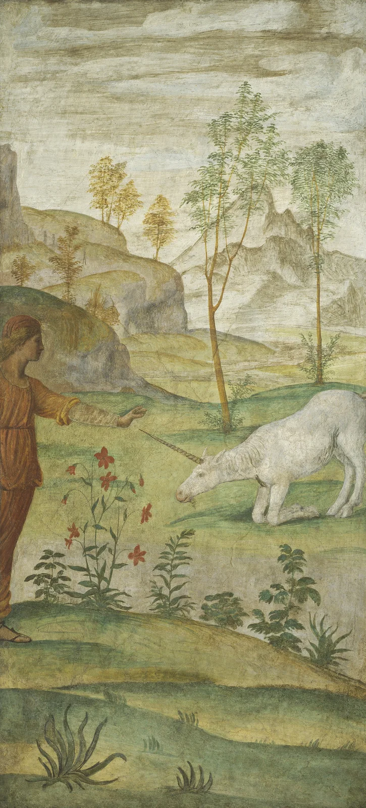 Procris and the Unicorn av Bernardino Luini