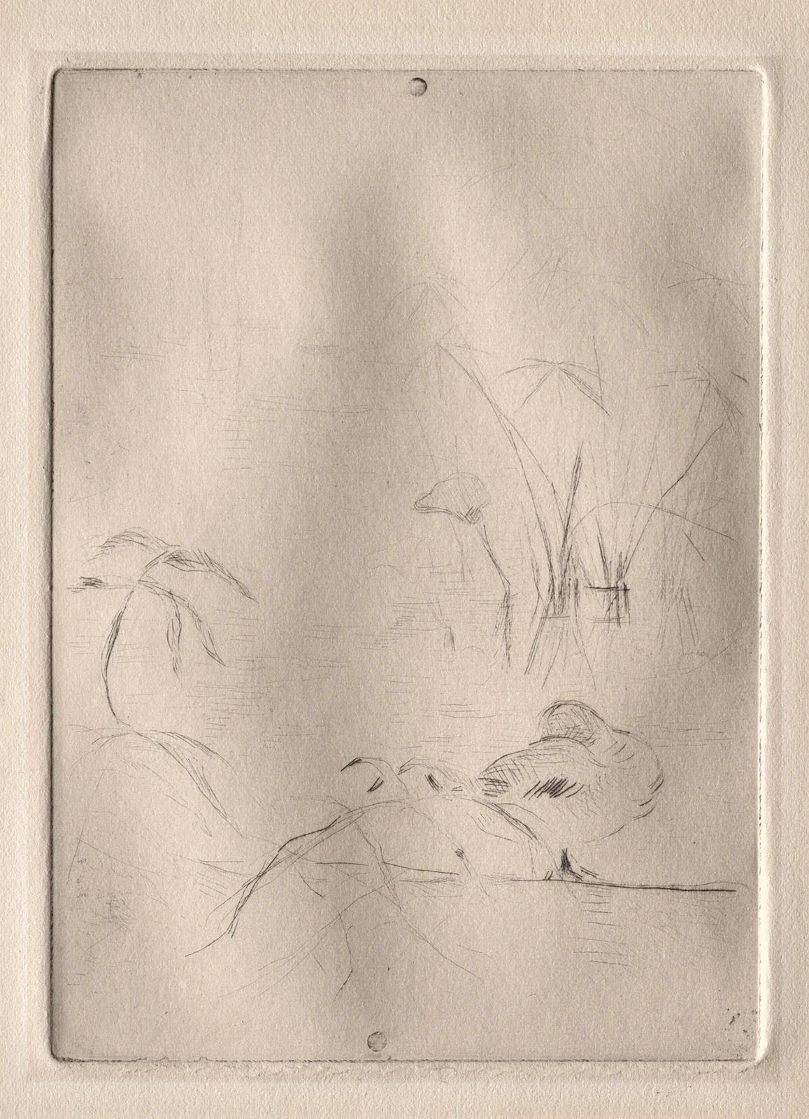 The Duck av Berthe Morisot