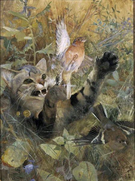 En katt och en bofink av Bruno Liljefors
