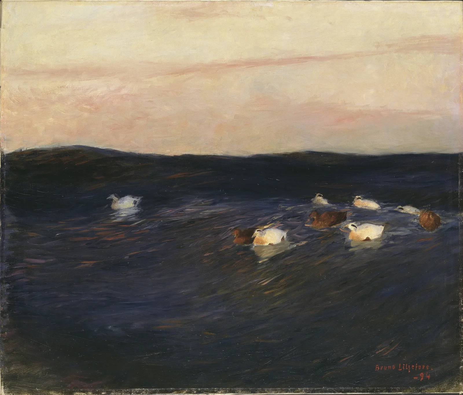 Eider Ducks av Bruno Liljefors