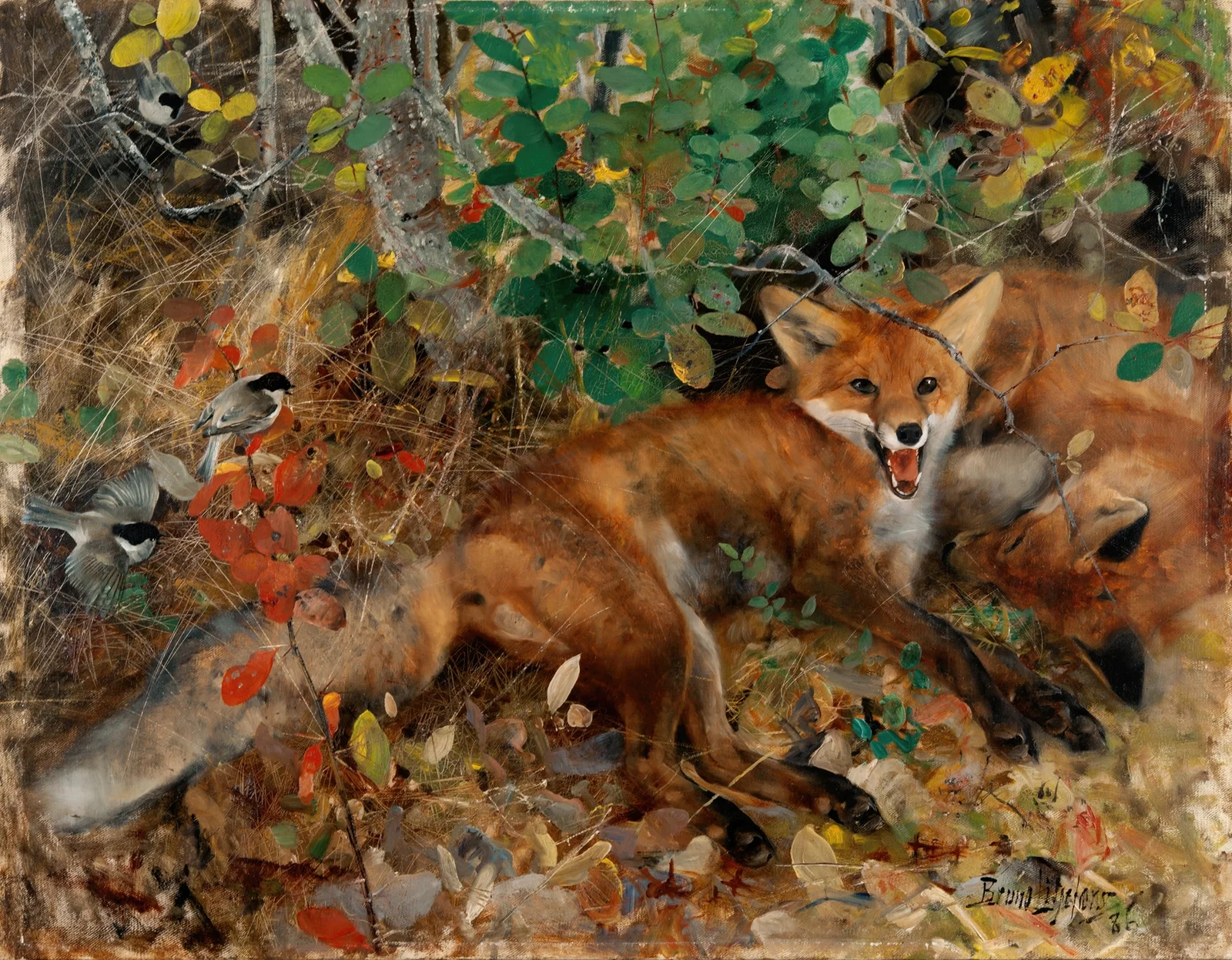 Foxes av Bruno Liljefors