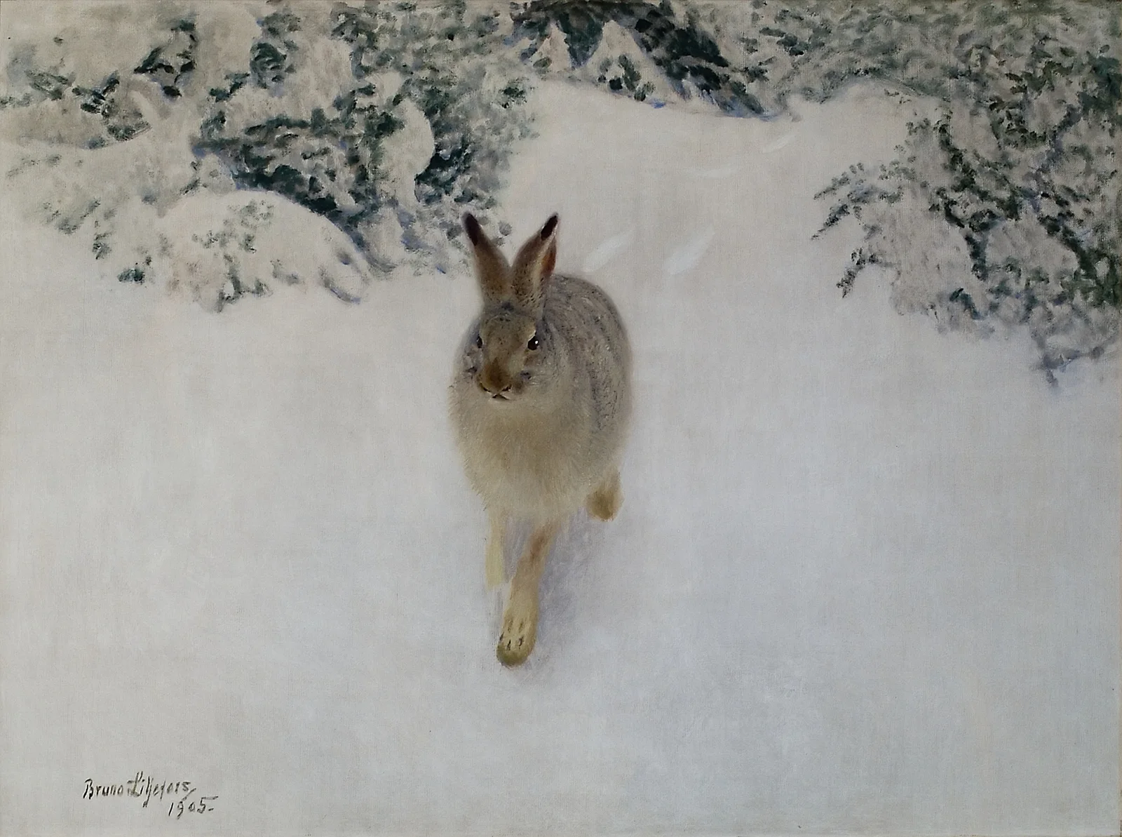 Hare in Winter av Bruno Liljefors