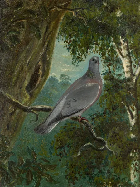 Stock Dove av Bruno Liljefors