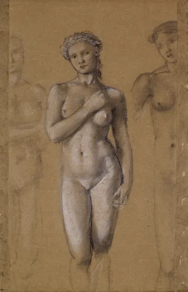 Female Nude – Three Studies, possibly for Venus av Sir Edward Coley Burne-Jones