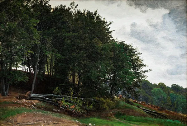 Forested hills av P. C. Skovgaard