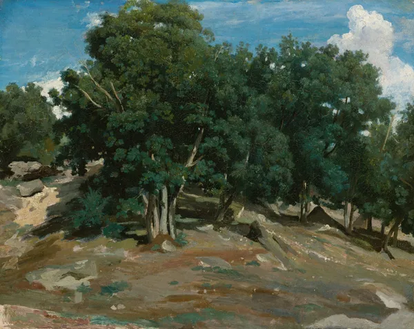 Fontainebleau; Oak Trees at Bas-Bréau av Jean-Baptiste-Camille Corot