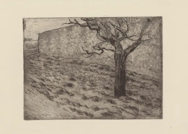 Arbre et terrain labouré av Camille Pissarro