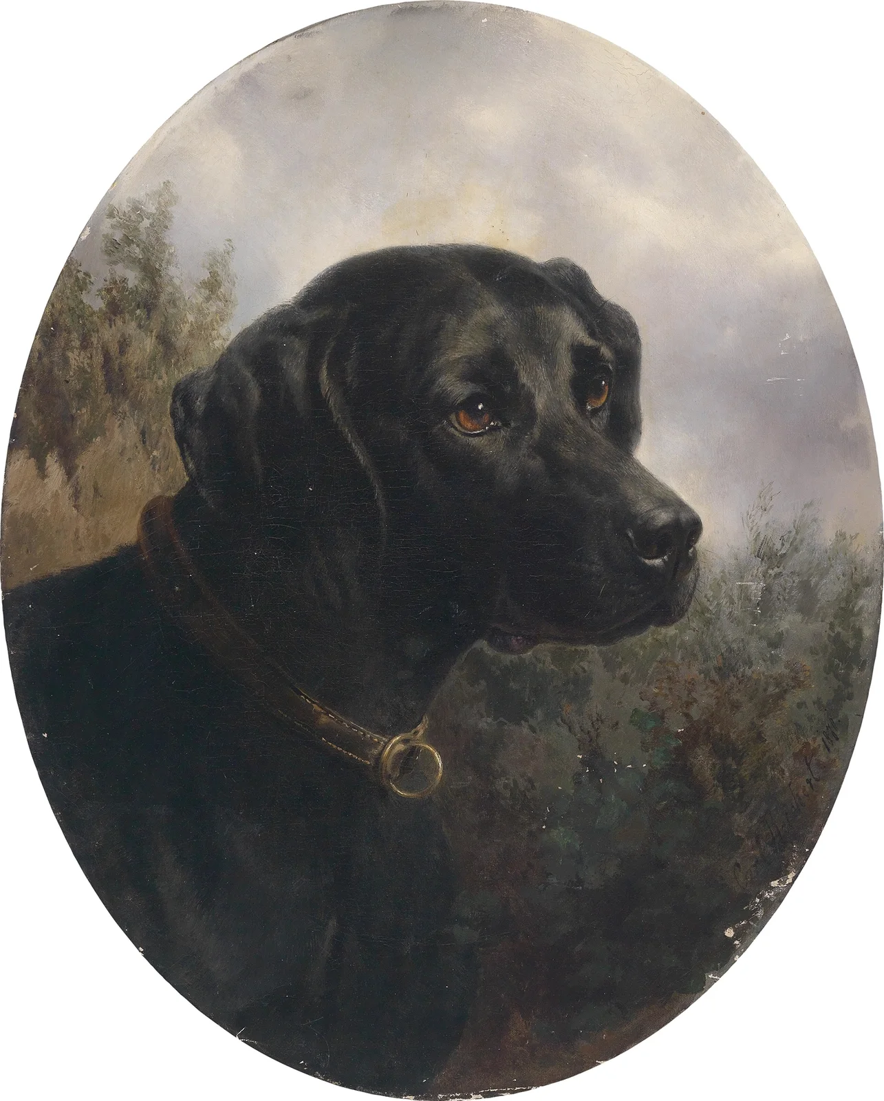 Hector av Carl Reichert