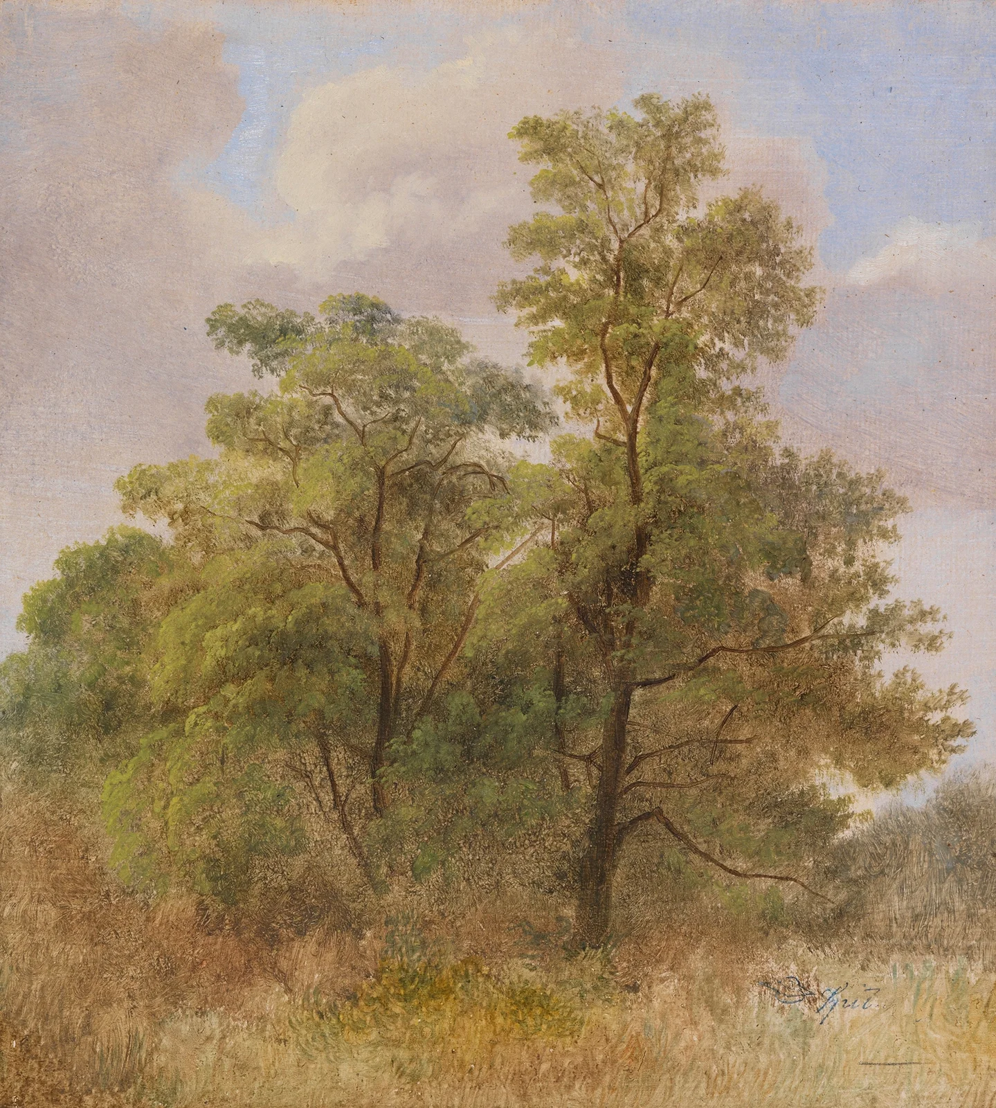 Baumstudie av Carl Spitzweg