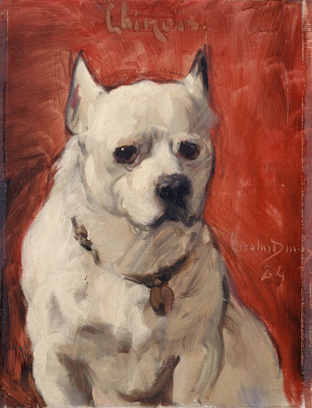 Le chien ‘chinois’ av Carolus-Duran